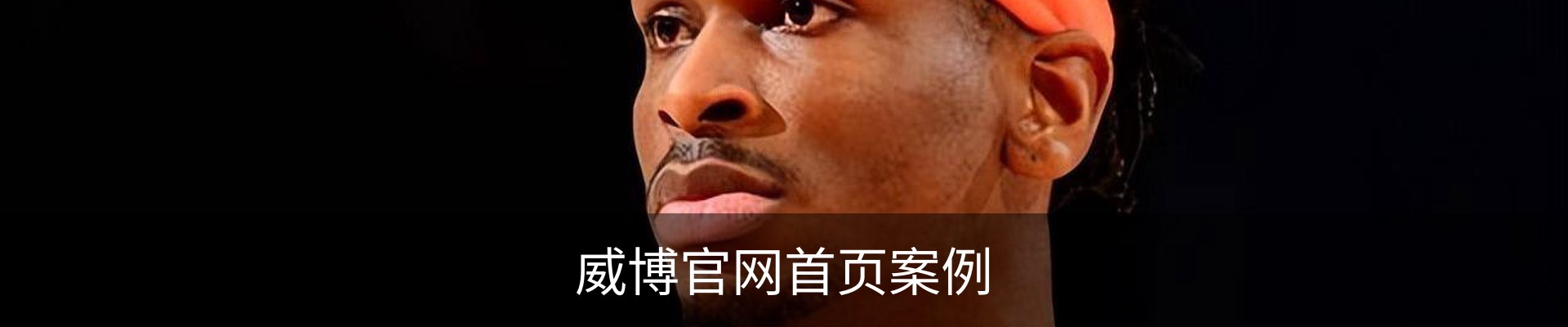 威博官网首页案例