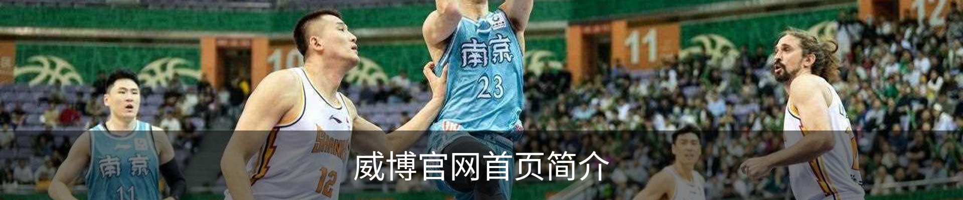 威博官网首页简介