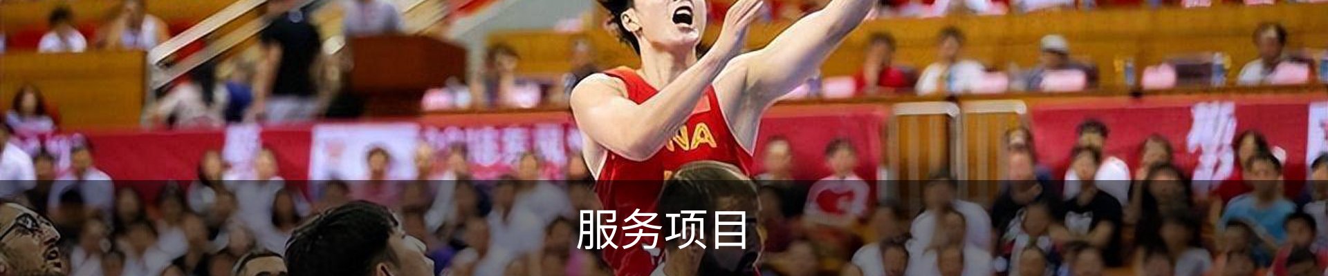 服务项目